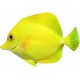 Sticker muraux poisson aquarium jaune