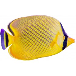 Autocollant poisson aquarium jaune violet