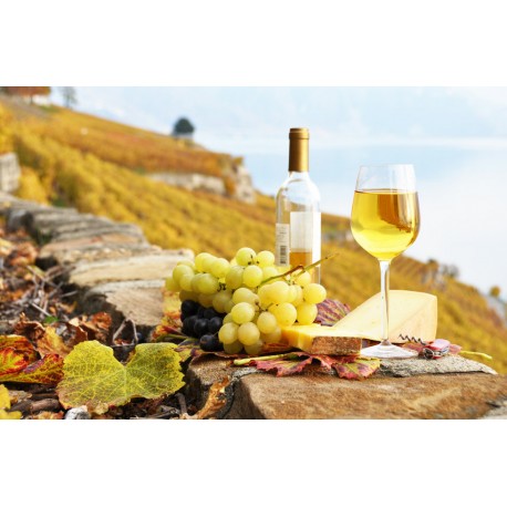 Autocollant muraux vin paysage
