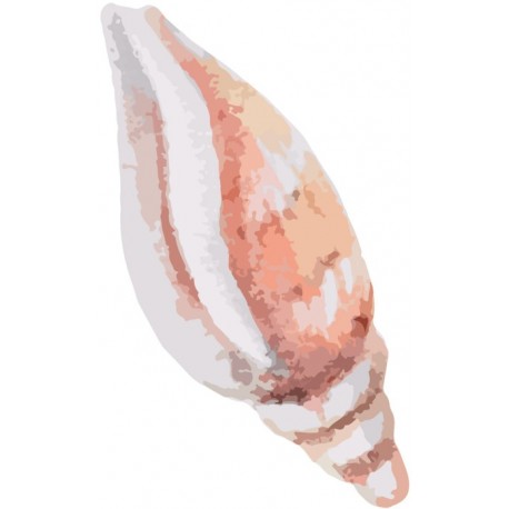 Sticker coquillage mer
