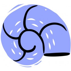 Sticker saint jacques deco