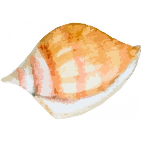 Sticker crustacé gris