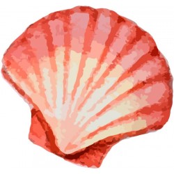 Sticker coquillage mer orange