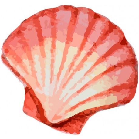 Sticker coquillage mer orange