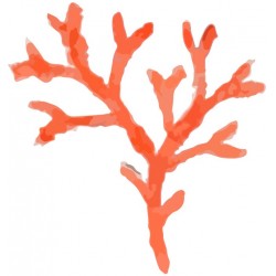 Sticker saint jacques rouge