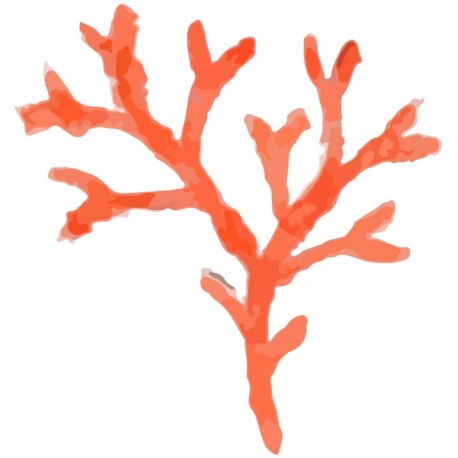 Sticker saint jacques rouge