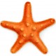 Sticker etoile de mer jaune
