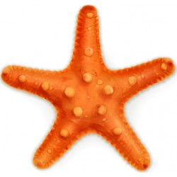 Sticker etoile de mer jaune