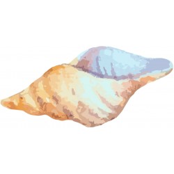 Sticker escargot de mer vert