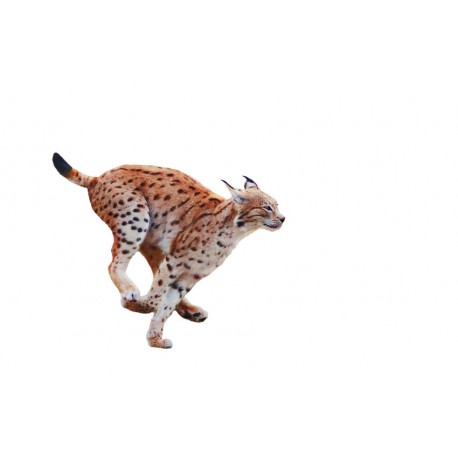 Sticker lynx galope