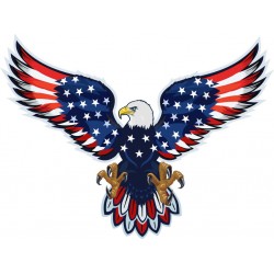 Sticker I need you USA