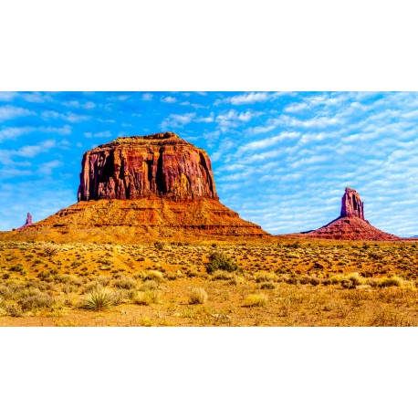 Sticker paysage USA montagne