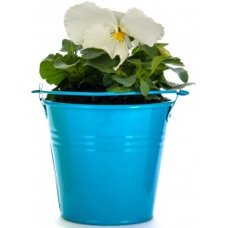 Sticker pot de fleur blanche