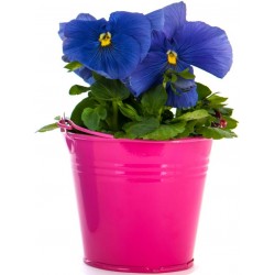 Sticker pot de fleur bleu