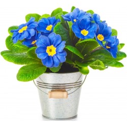 Sticker fleur en pot bleue