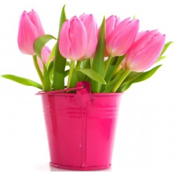 Sticker tulipes rose dans pot