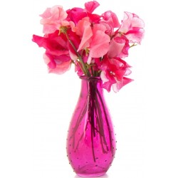 Sticker fleur rose dans un vase