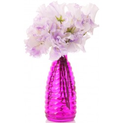 Sticker fleur rose pastel en pot