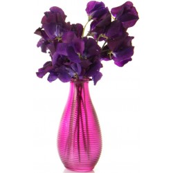 Sticker fleur et pot violet