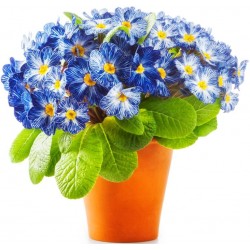 Autocollant fleur en pot bleu