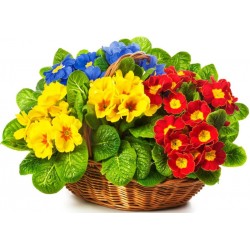 Sticker gros pot de fleurs