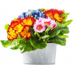 Sticker pot de fleurs couleur