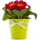 Sticker pot fleurs rouge