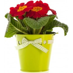 Sticker pot fleurs rouge