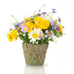 Sticker bouquet fleurs prairie