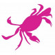 Sticker Crabe deco