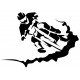 Sticker moto cross grosse roue
