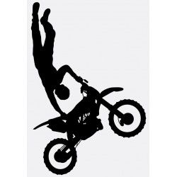 Sticker moto GP compteur rose