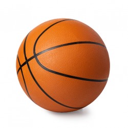 Sticker lion de basket