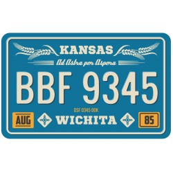 Sticker plaque voiture louisinane