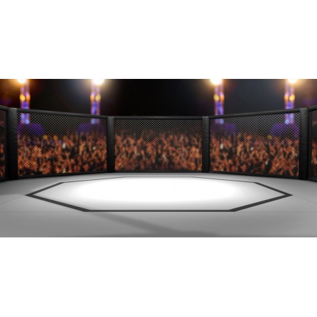 Sticker MMA combat ours