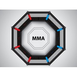 Sticker arene MMA combat