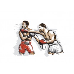 Sticker arene MMA vue haute