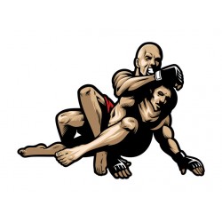 Sticker combat point