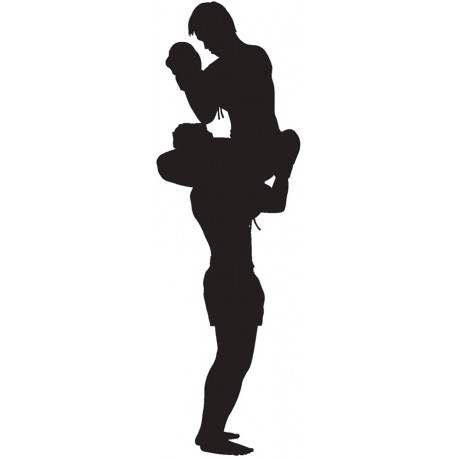 Sticker combat en cage