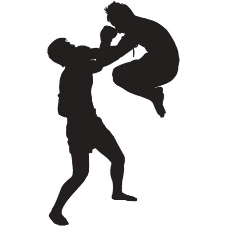 Sticker combat en mma