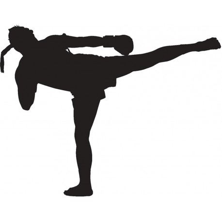 Sticker combat mma saut