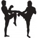 Sticker homme mma