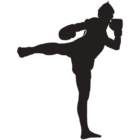 Sticker hommes mma combat fight