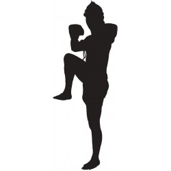 Sticker affront combat sol