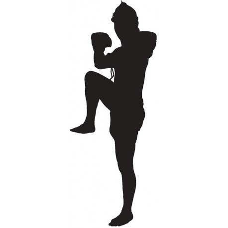 Sticker affront combat sol