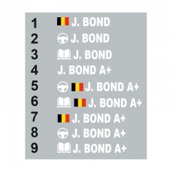 Sticker Pilote copilote Belgique