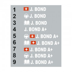 Sticker Pilote copilote Belgique