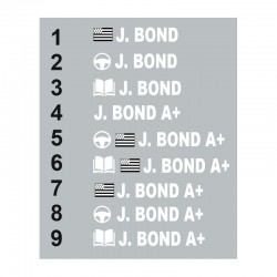 Sticker Pilote copilote Suisse