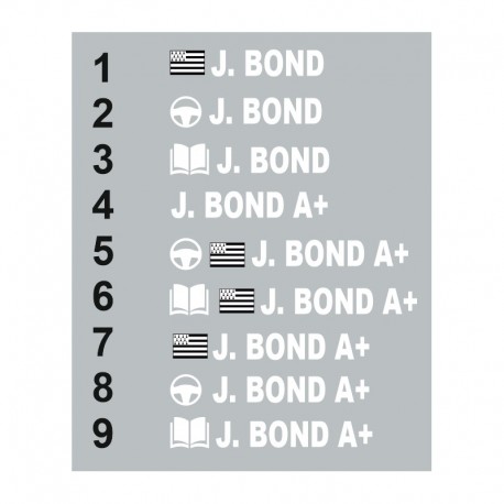 Sticker Pilote copilote Suisse