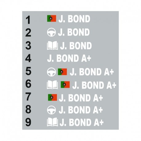 Sticker Pilote copilote Corse